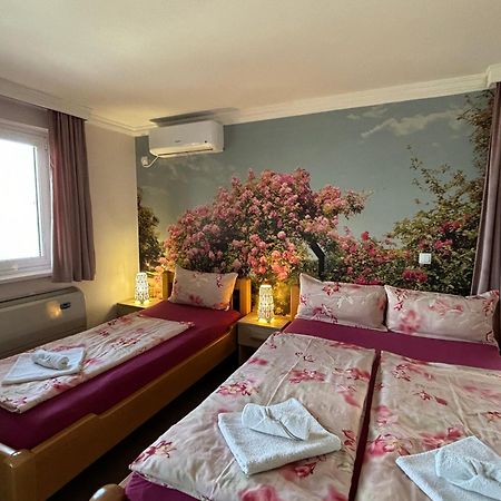 Apartmani "Marija" Golubac Eksteriør bilde